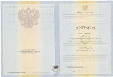 Диплом Псковского филиала МИГУП 2010-2011 годов